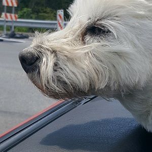 Meet your Posher, Liz